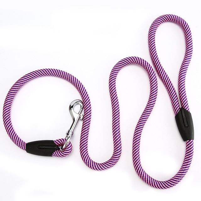 Spiral Dog Leash