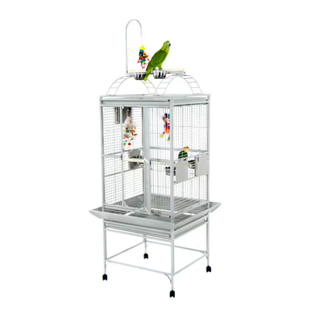 Play Top Cage - Stainless Steel 24"x22"x62"