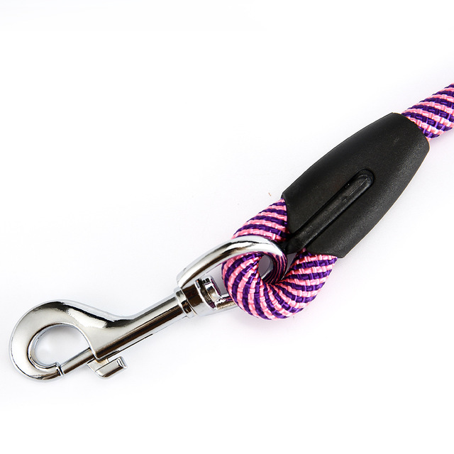 Spiral Dog Leash