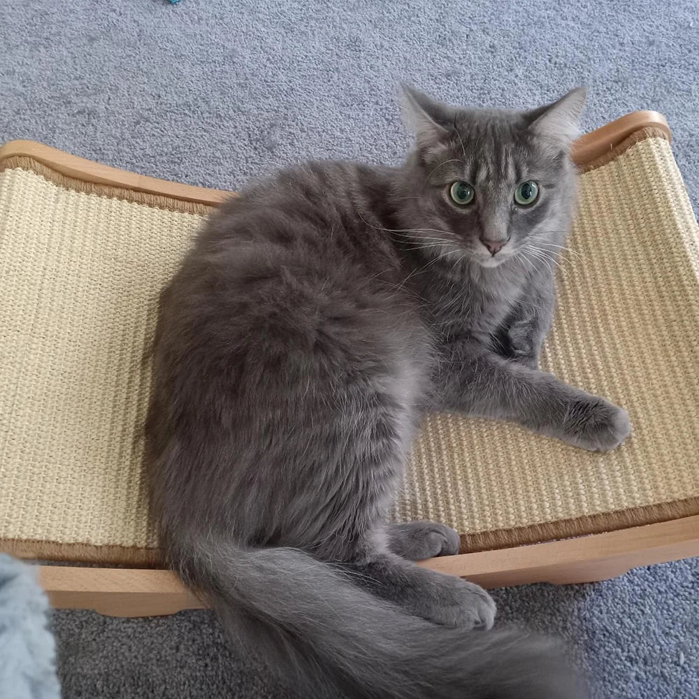Cats Bed Scratching Pads Cat Toys Cat Scratch Board Multi-function Cat Grind Claws & Sleep Detachable Wear-resistant No Crumbs