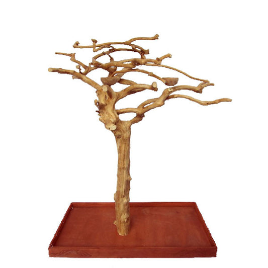 Small Java Wood Tree 48"x24"x66"