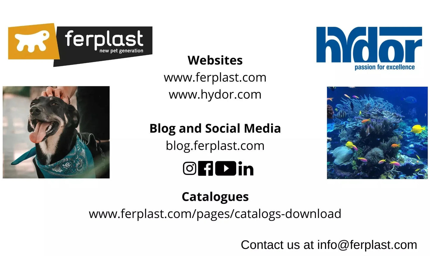 Ferplast Dubai 100 LED - 190 L. Glass Aquarium with Two LED Lamps, Internal Filter and Heater. 2 Colours.