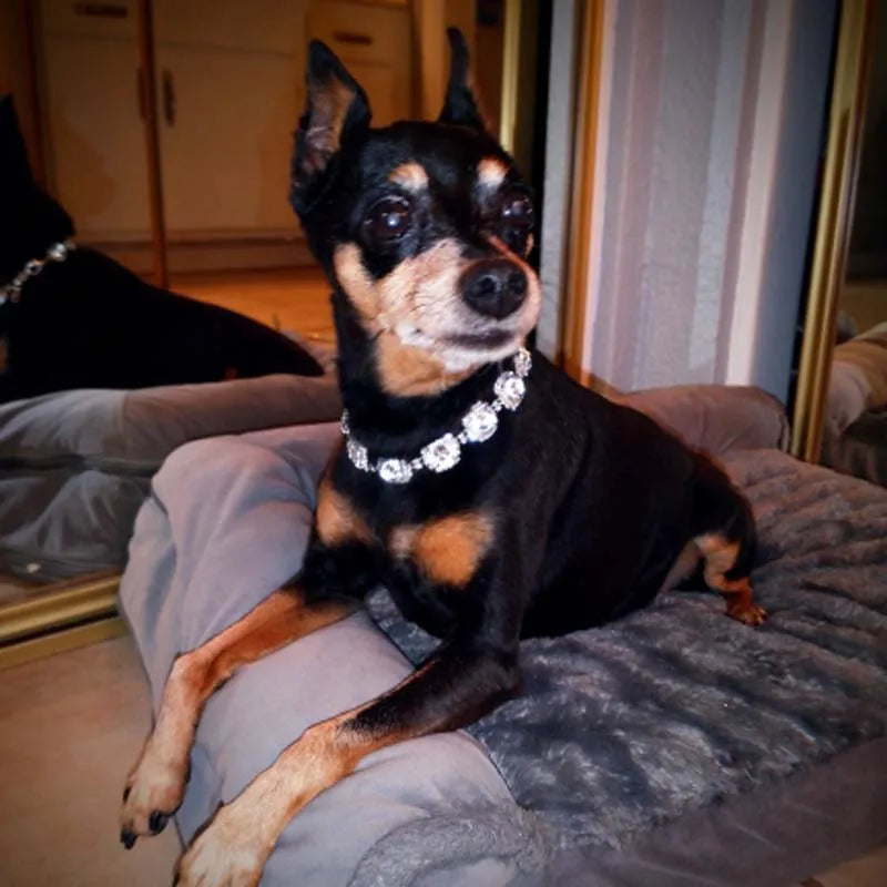 Bling Rhinestone Dog Necklace Jewelry Luxury Designer Gemstone Princess Dog Cat Wedding Collar for Small Medium Dogs Puppy