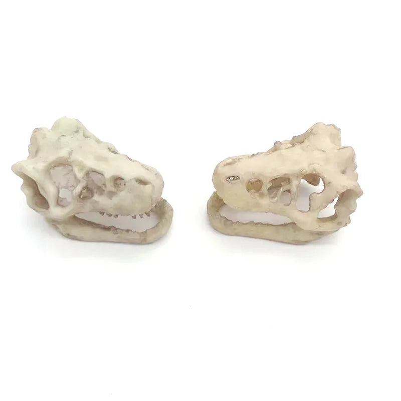 Aquarium Ornaments Decoration Resin Rhinoceros Horned Skull Goat-Head Shape Fish Tank Spider Scorpion Lizard Aquariums Shelter