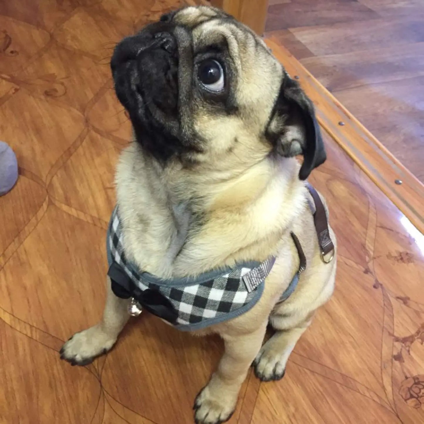 Plaid Dog Harness and Leash Set for Small Medium Dogs Cats Puppy French Bulldog Pet Bowtie Tuxedo Vest Harness