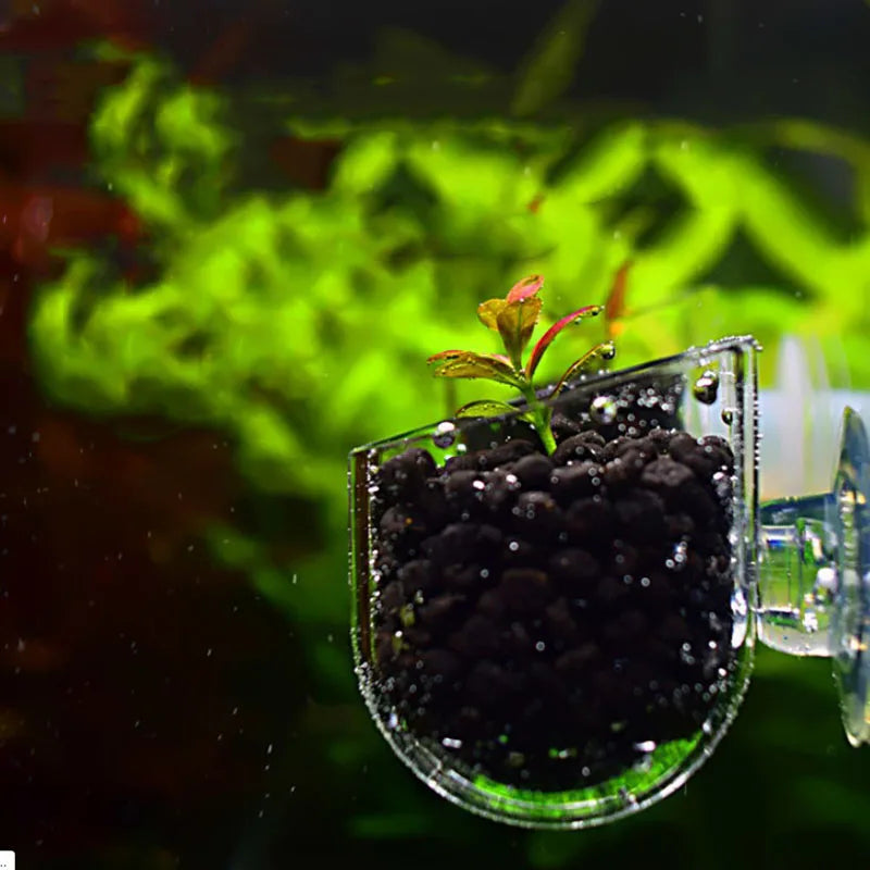 Acrylic Aquarium Feeder Fish Tank Mini Crystal Glass Pot Polka Water Potted Aquatic Planting Cylinder Cup Aquarium Plants Decor