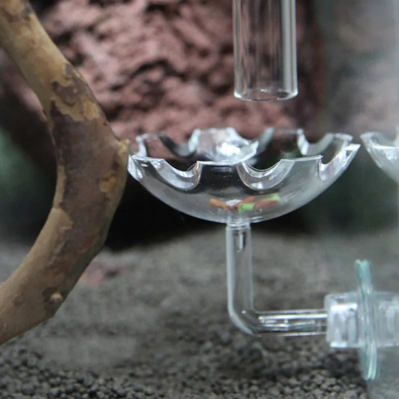 Transparent Aquarium Fish Tank Shrimp Food Feeding Circle Glass Feeder Floating Bottom Feeder Fish Shrimp Aquarium Accessories