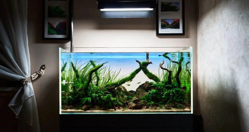 Wholesale Silent Large Glass Fish Tank Made To Order Big Size Water Purifying Aquarium Tank