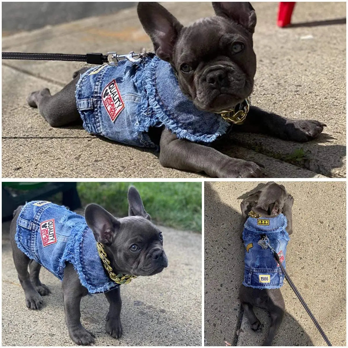 Classic Dog Denim Jacket Spring Autumn Pet Clothes for Small Medium Dogs Beagle Bulldog Lapel Vest Dark Washed Jeans Coat