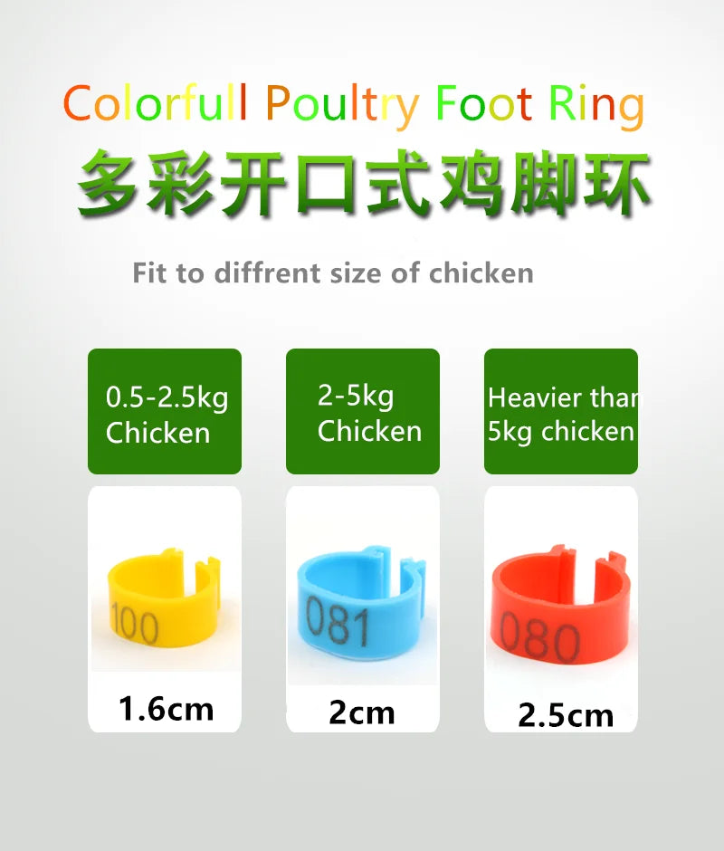 100Pcs Plastic 1.6/2.0cm Quail Bird Chicken Hen Pigeon Poultry Chicks Duck Parrot Foot Clip Rings Mark Sign