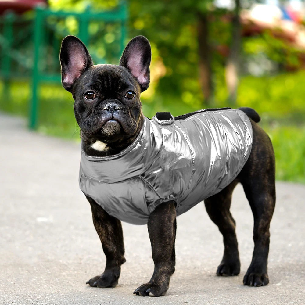 Clothes For Small Dogs Waterproof Dog Clothes Puppy Pet Jacket Winter Warm Vest Dog Coat Clothing For Chihuahua French Bulldog