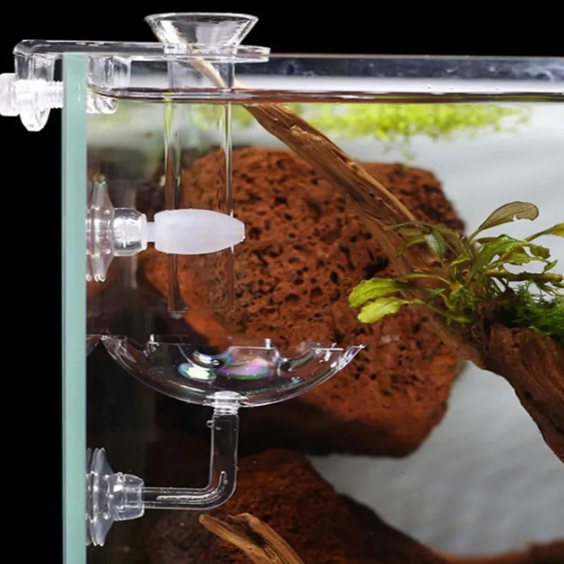 Transparent Aquarium Fish Tank Shrimp Food Feeding Circle Glass Feeder Floating Bottom Feeder Fish Shrimp Aquarium Accessories