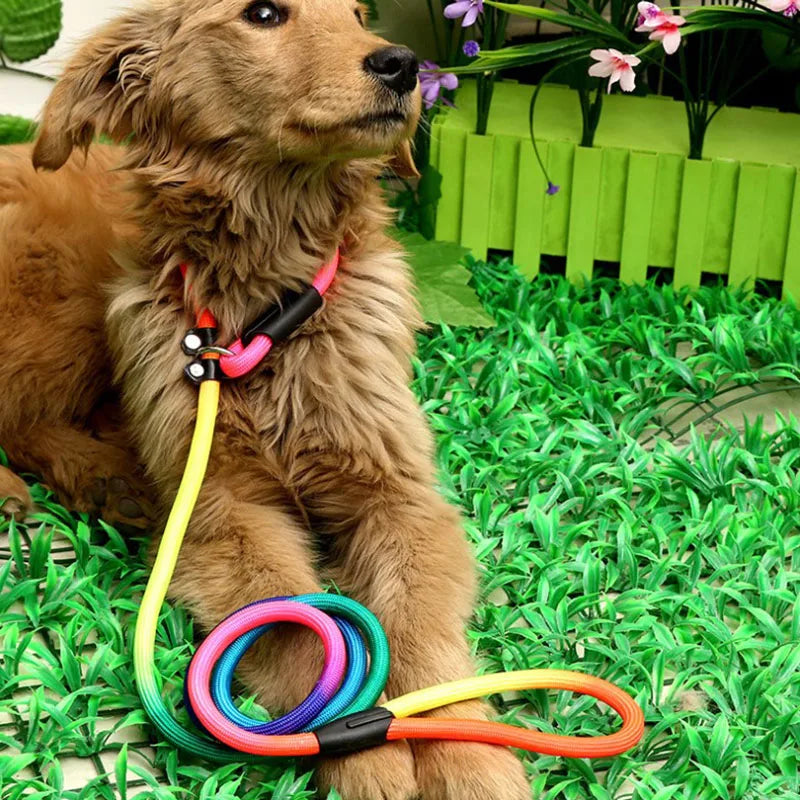 1Pcs Rainbow Nylon Dog Leash Training Dog Personalized Leash Lead Strap Collar 130cm High Quality Dog Harness Color Randomly