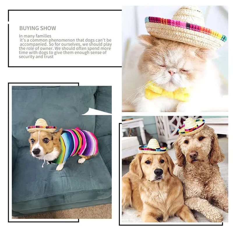 Chinese Tradition Straw Hats for Dogs Wig Mexico Style Puppy Costume Cat Outfit Cat Supplies Pet Accessories for Small Animal