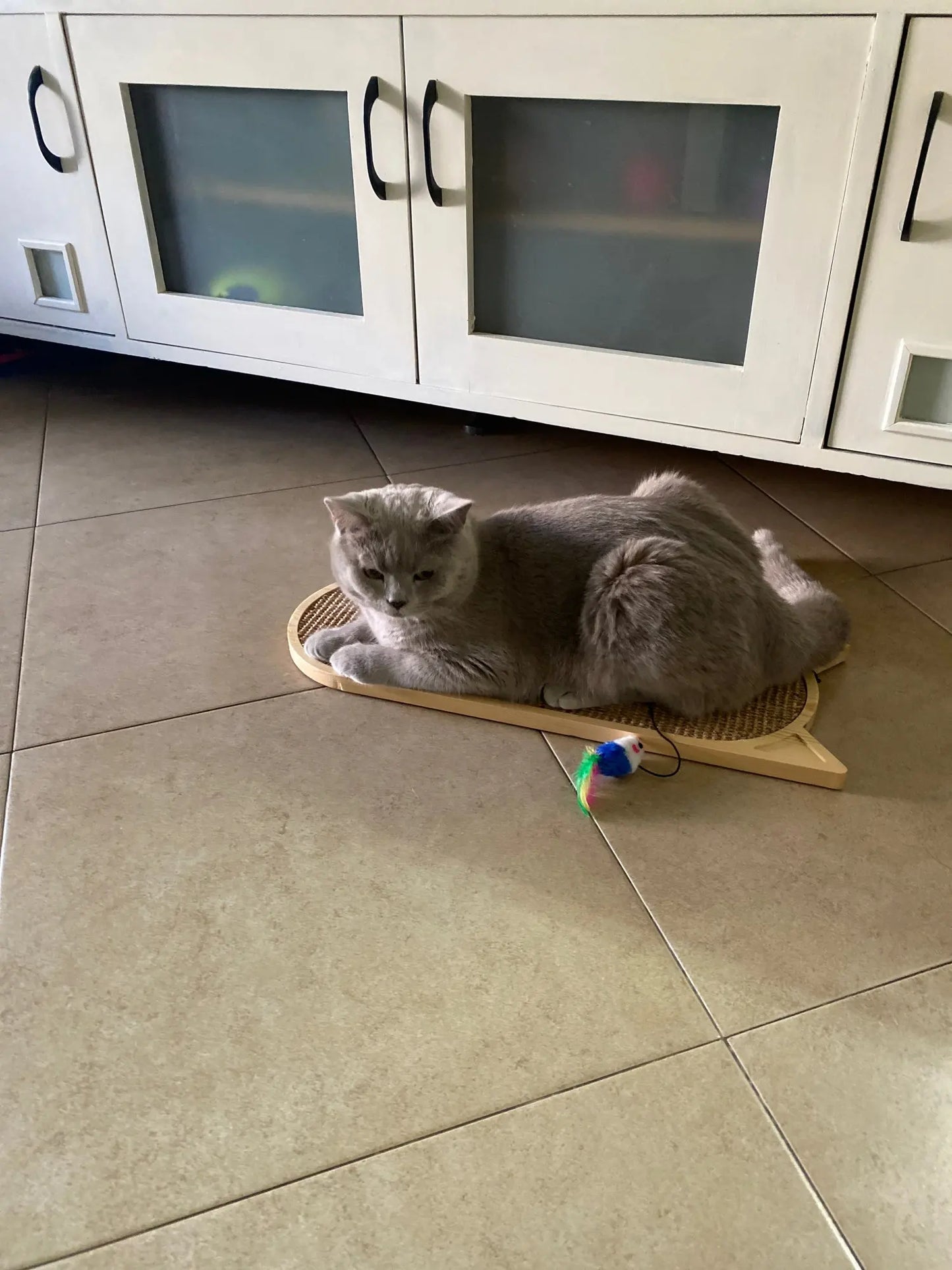 Wall Mounted Cat Scratching Board
