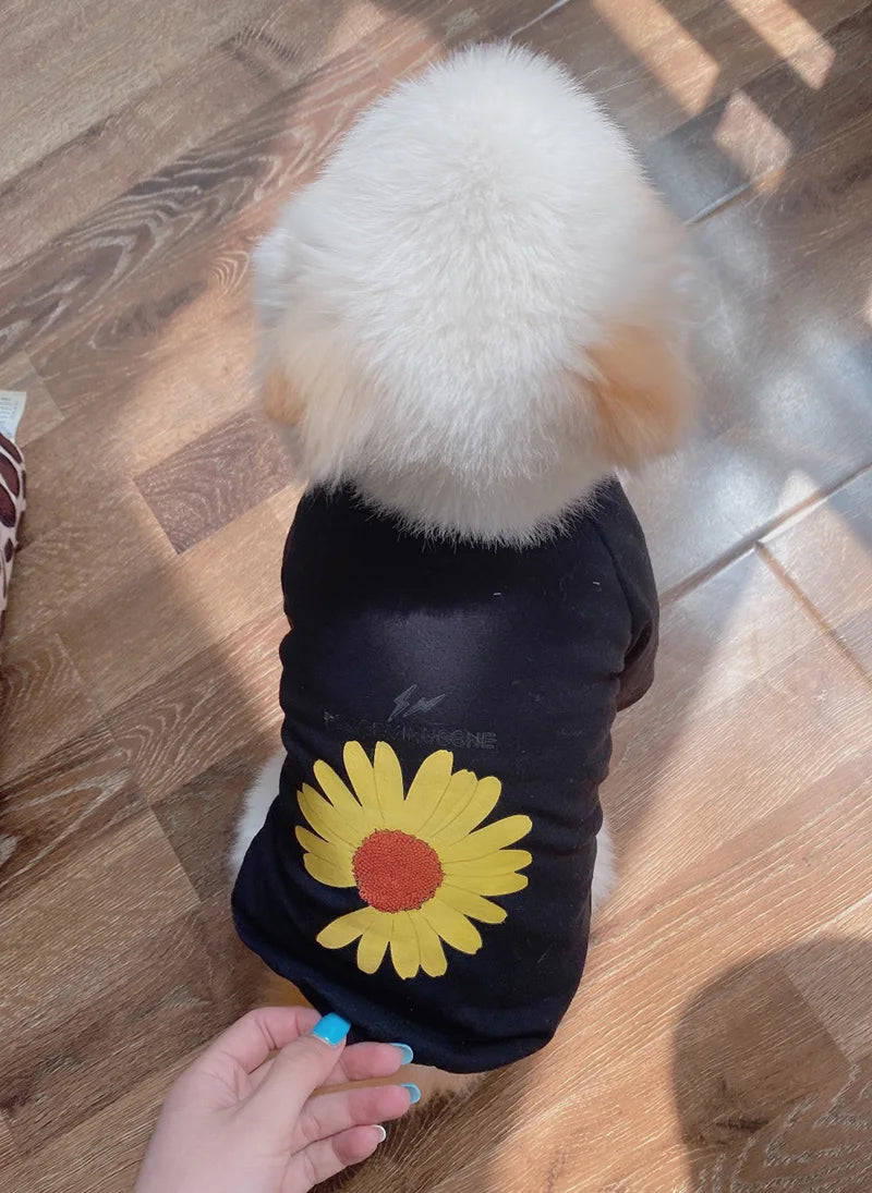 6 Color Pet Dog Cat T shirt Summer Ropa Chihuahua French Bulldog Clothes for Small Dogs Puppy Clothing ropa de perros mascotas