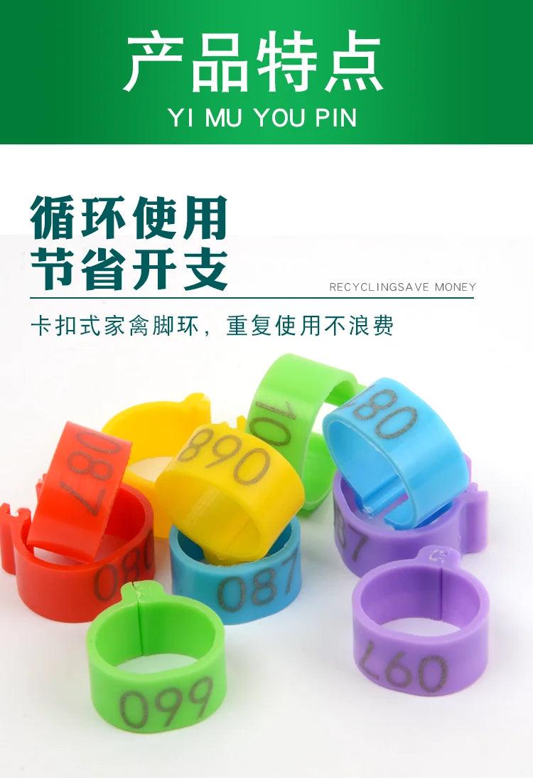 100Pcs Plastic 1.6/2.0cm Quail Bird Chicken Hen Pigeon Poultry Chicks Duck Parrot Foot Clip Rings Mark Sign
