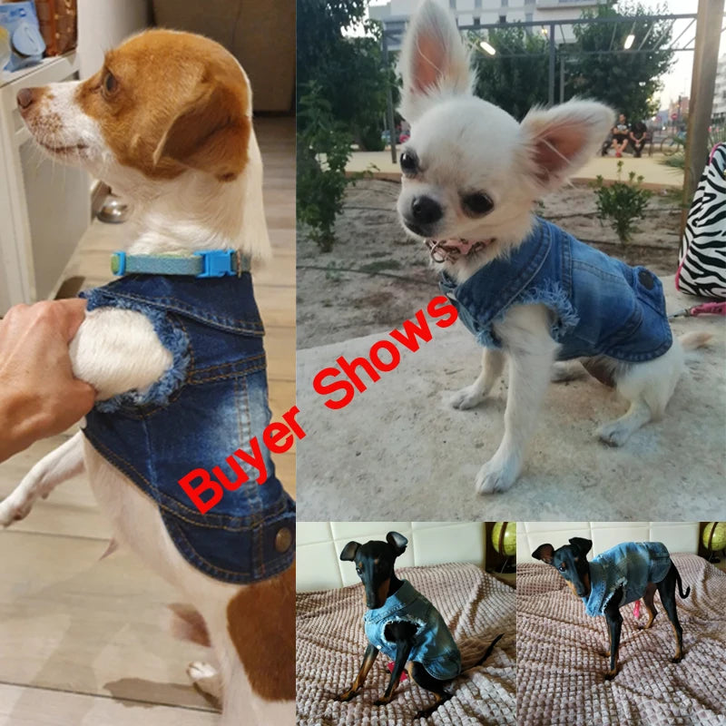 Dog Denim Jacket Fashion Design Jeans Spring Puppy Dog Clothes For Small Medium Dogs French Bulldog Chihuahua Pet Appare