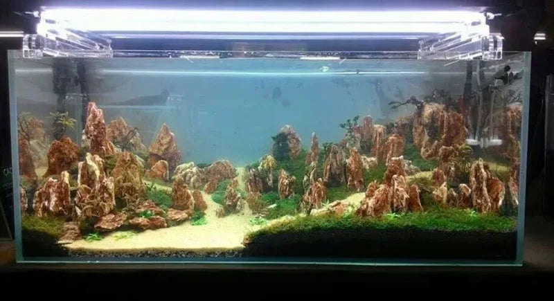 1000g Natural Aquarium Decorations Stone Rockery Landscaping Fish Tank Microporous Chicken Bone Stone Good for Plants Growth