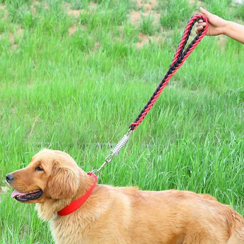 1Pcs 50cm Length Super Strong Nylon Dog Leash Dog Collar Leads For Medium Large Dogs with Spring Anti Pull Leashes Pet Supplies