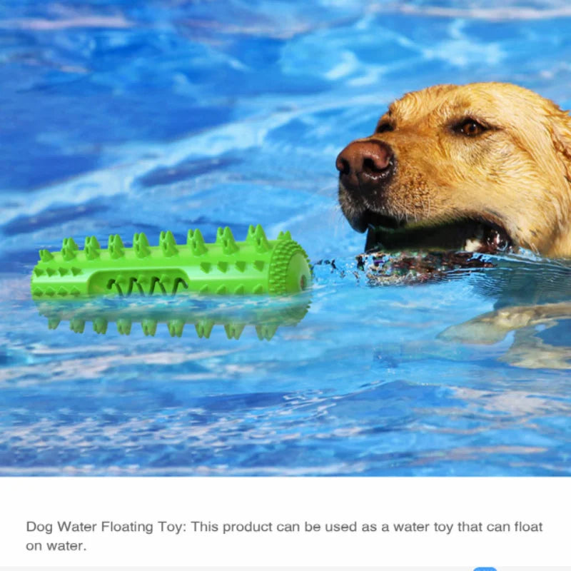 New arrival Pet Supplies pet toys Sounding pet dog molar stick toy dog toothbrush chewing squeak toys