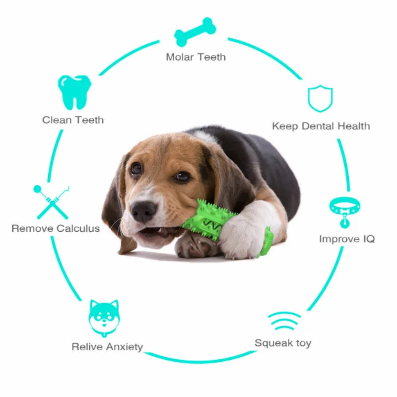 New arrival Pet Supplies pet toys Sounding pet dog molar stick toy dog toothbrush chewing squeak toys