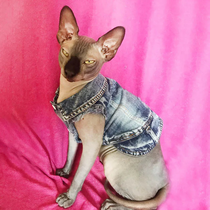 Sphinx Cat Clothes for Small Medium Large Cats, Dark Washed Cat Jeans Jacket Spring Autumn Denim Coat Cat Costume Pet Apparel