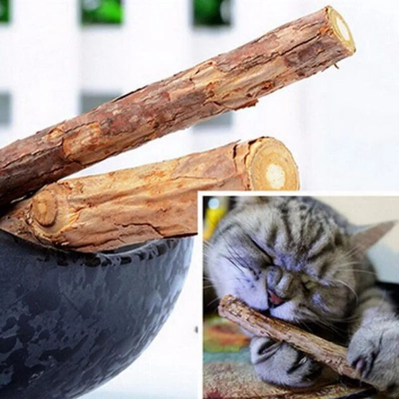 4pcs/Lot Pure Natural Catnip Stick Pet Toys For Cats Molar Toothpaste Branch Cleaning Teeth Silvervine Cat Snacks Sticks