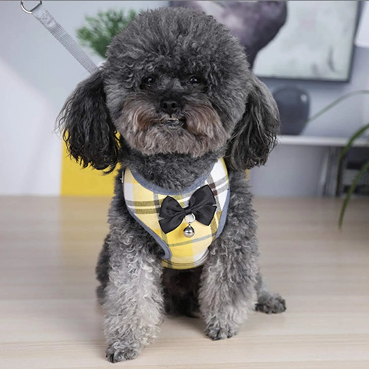 Plaid Dog Harness and Leash Set for Small Medium Dogs Cats Puppy French Bulldog Pet Bowtie Tuxedo Vest Harness
