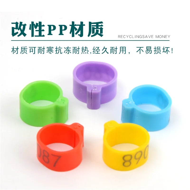 100Pcs Plastic 1.6/2.0cm Quail Bird Chicken Hen Pigeon Poultry Chicks Duck Parrot Foot Clip Rings Mark Sign