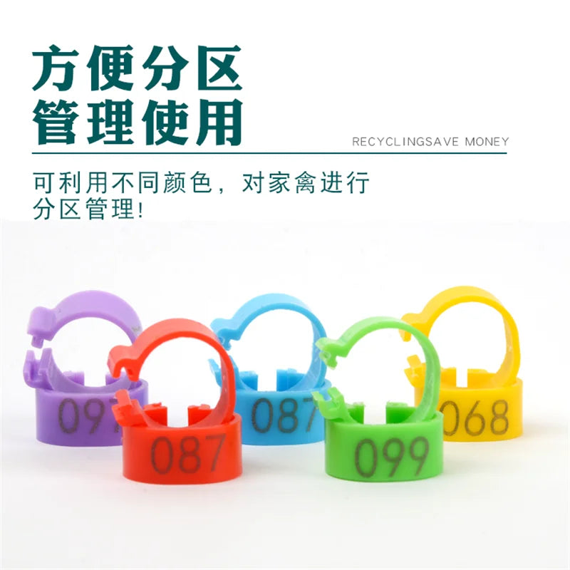 100Pcs Plastic 1.6/2.0cm Quail Bird Chicken Hen Pigeon Poultry Chicks Duck Parrot Foot Clip Rings Mark Sign