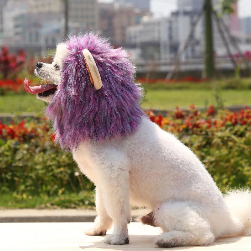 Lion Cattle Pattern Dog Costume Hat for Cat New Year Party Birthday Costume Pet Dogs Products Keep Warm Winter Puppy Accessories