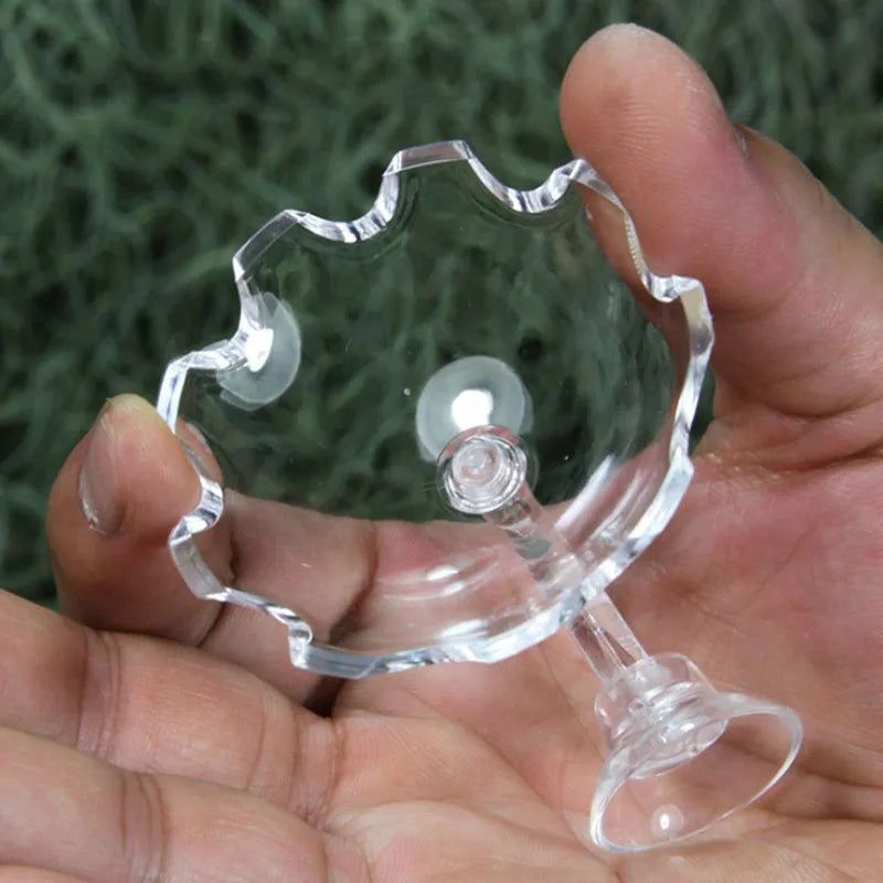 Transparent Aquarium Fish Tank Shrimp Food Feeding Circle Glass Feeder Floating Bottom Feeder Fish Shrimp Aquarium Accessories