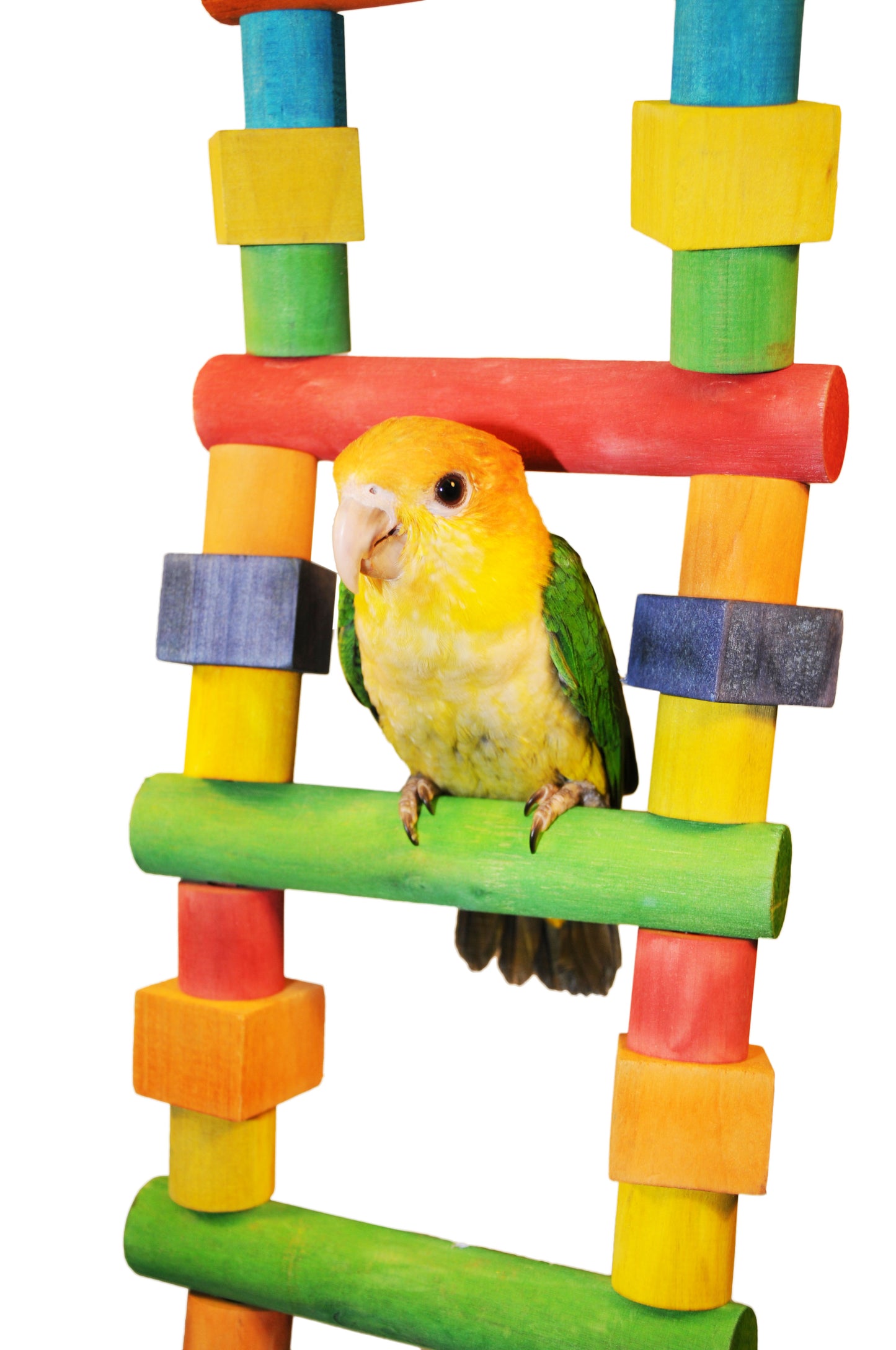 Medium Multicolored Wooden Ladder