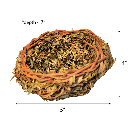 Small Natural Open Finch Nest with Leaves