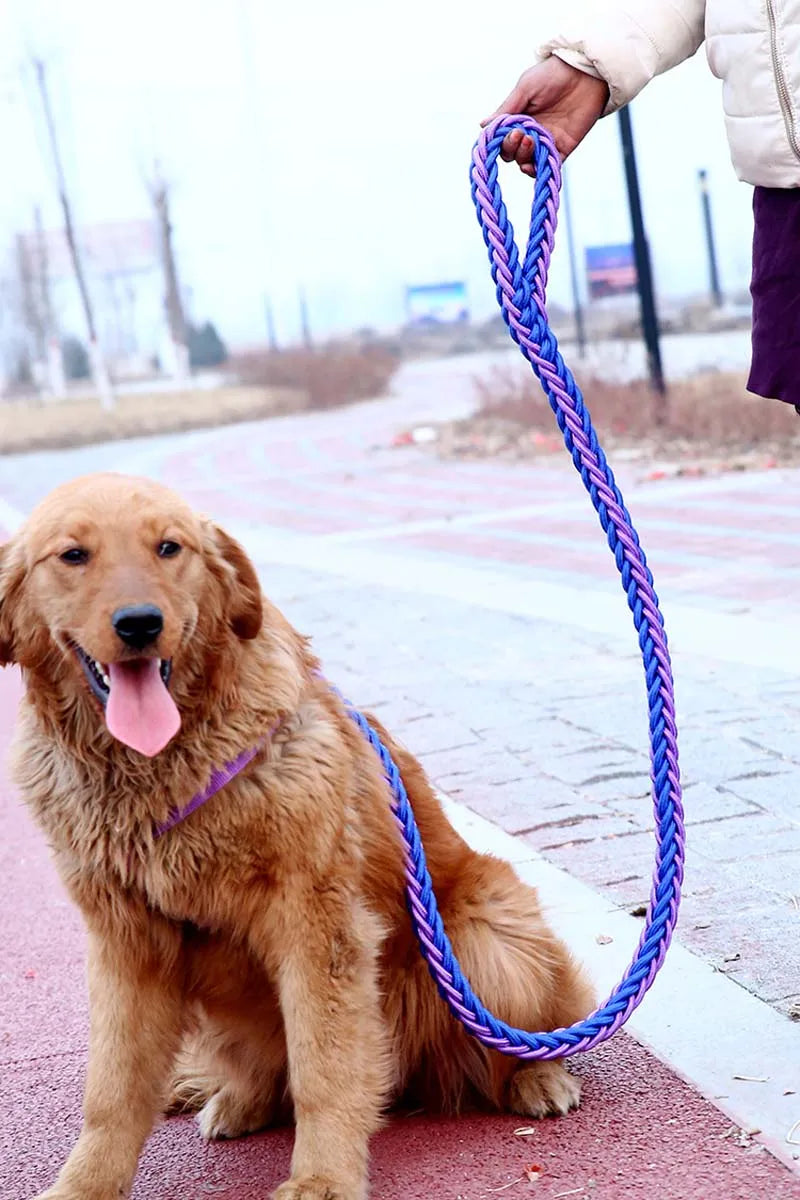 Heavy Duty Pet Dog Collar Leash Set Adjustable Obedience P Chain Collar Nylon Dog Leash Strap Lead Rope for Medium Large Dogs