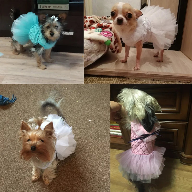 Small Dog Dress Pet Tutu Dress with Sequin Bows Princess Tulle Skirt Puppy Dog Clothes Chihuahua York Terrier Pet Apparel
