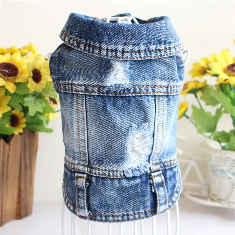 Dog Denim Jacket for Small Medium Dogs Spring Autumn Dog Clothes Classic Jeans Lapel Vest Chihuahua Yorkie Bulldog Pet Apparel