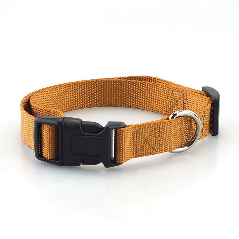 4ft Long Nylon Dog Leash Durable Training Leashes Pet Accessories Traction Rope for Small and Medium Breed Dogs