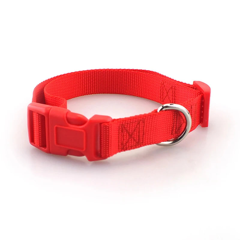 4ft Long Nylon Dog Leash Durable Training Leashes Pet Accessories Traction Rope for Small and Medium Breed Dogs