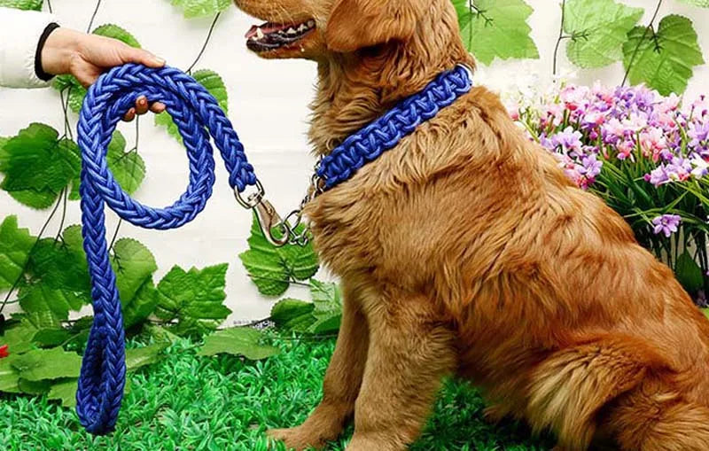 Heavy Duty Pet Dog Collar Leash Set Adjustable Obedience P Chain Collar Nylon Dog Leash Strap Lead Rope for Medium Large Dogs