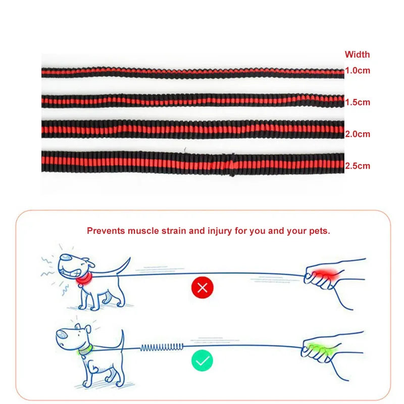 190cm Elastic Dog Leash Pet Cat Puppy Anti Dash Pull Dog Lead Leash Retractable Leash For Rabbit Hamster Small Pets Dropshipping