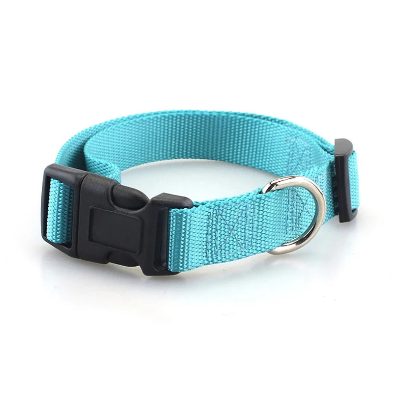 4ft Long Nylon Dog Leash Durable Training Leashes Pet Accessories Traction Rope for Small and Medium Breed Dogs