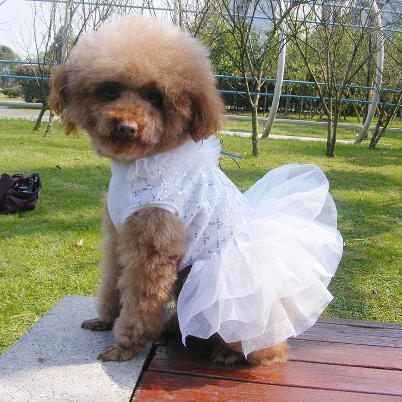 Small Dog Dress Pet Tutu Dress with Sequin Bows Princess Tulle Skirt Puppy Dog Clothes Chihuahua York Terrier Pet Apparel