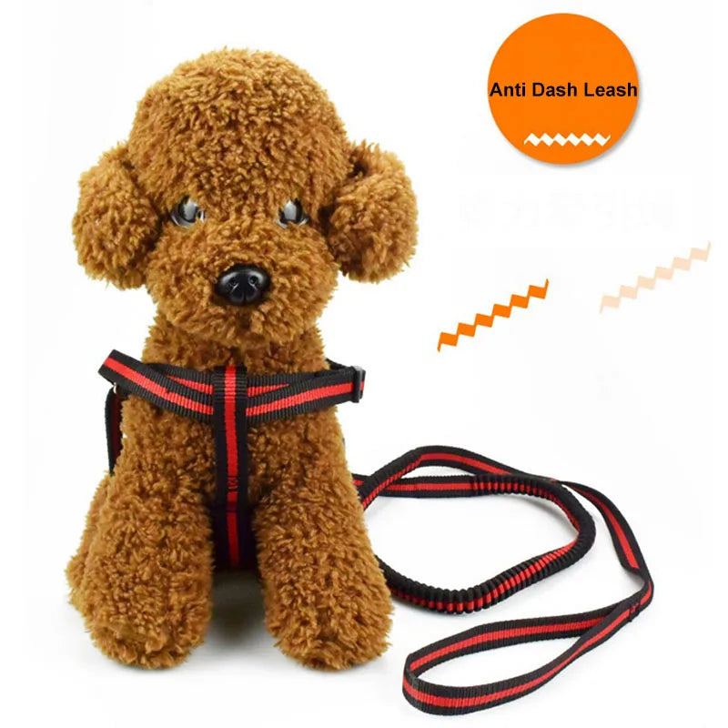 190cm Elastic Dog Leash Pet Cat Puppy Anti Dash Pull Dog Lead Leash Retractable Leash For Rabbit Hamster Small Pets Dropshipping