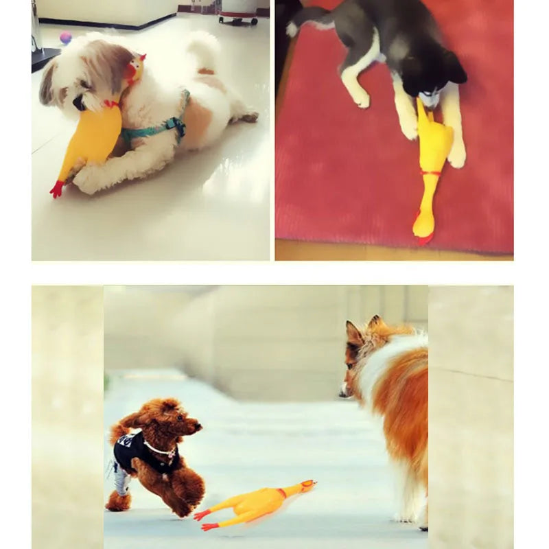 1pc Funny Yellow Screaming Chicken Squeaky Pets Dog Toys Squeeze Squeaky Sound Toy Safety Rubber For Dogs Molar Chew Toys