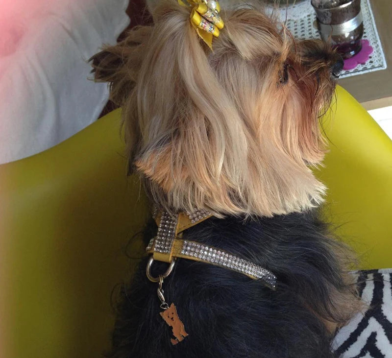 Luxury Bling Rhinestone Dog Harness for Small Medium Dogs Puppy Adjustable Soft Leather Pet Harness with Diamond York Chihuahua