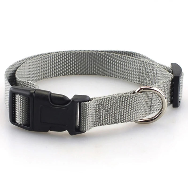 4ft Long Nylon Dog Leash Durable Training Leashes Pet Accessories Traction Rope for Small and Medium Breed Dogs