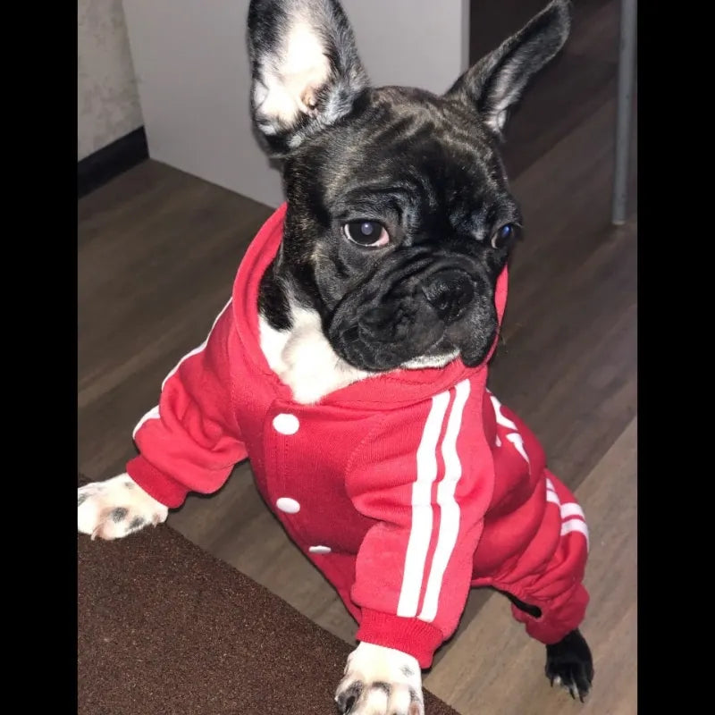 Spring Autumn Dog Clothes for Small Dogs Chihuahua Yorkie Bulldog Hoodies Puppy Sweatshirt Dog Tracksuit Jumpsuit Pet Sport Suit