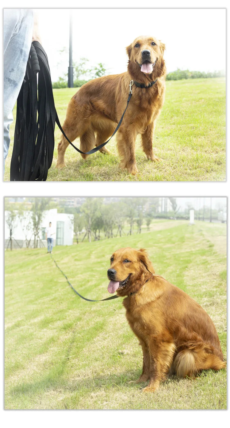 10m 15m 20m 30m Long Nylon Pet Dog Leash Obedience Recall Training Lead, Small Medium Large Dog Lanyard Tracking Rope